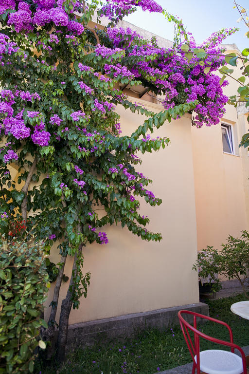Apartments Angela Budva Dış mekan fotoğraf