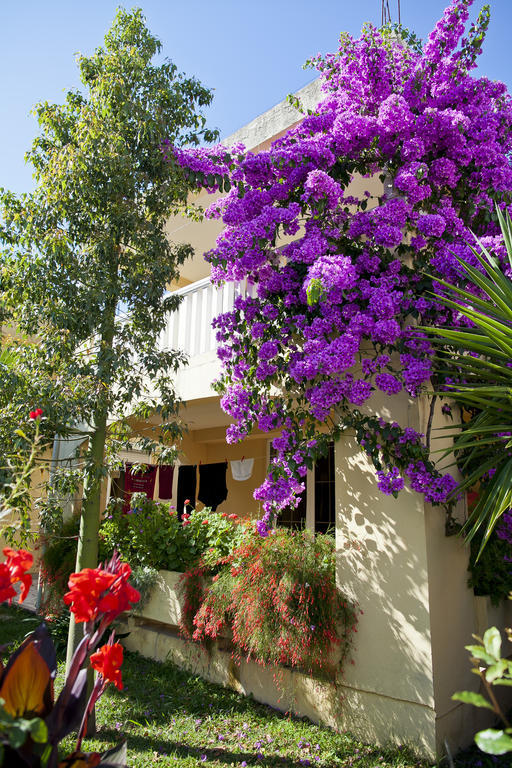 Apartments Angela Budva Dış mekan fotoğraf